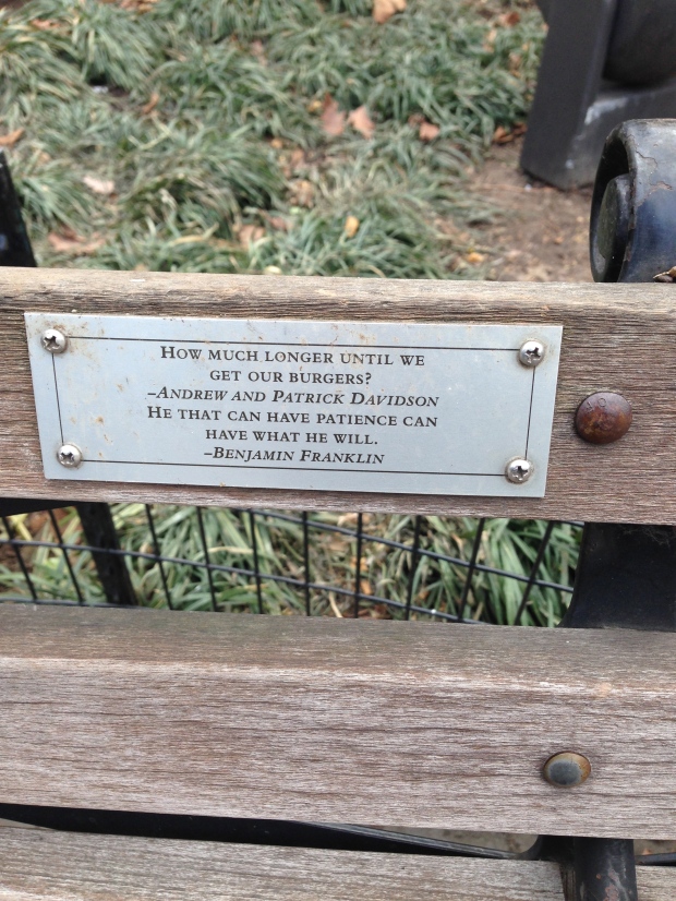 A very well placed bench in the park